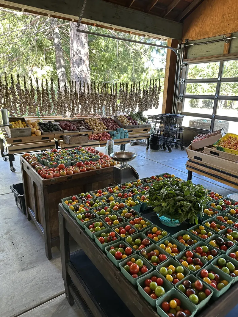 24 Carrot Farm