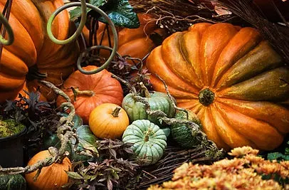 Clancy's Christmas Trees & Pumpkin Patch