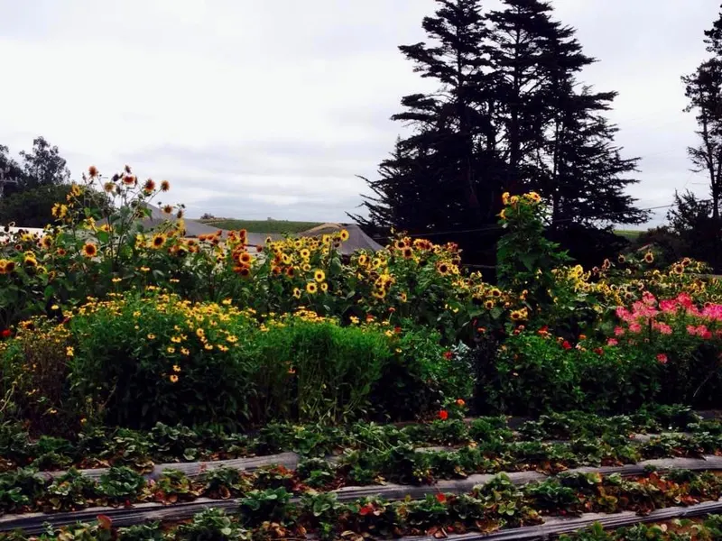 Crystal Bay Farm photo