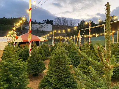 Deluca Farm photo