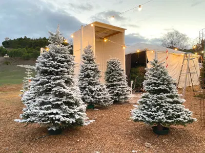 Deluca Farm photo