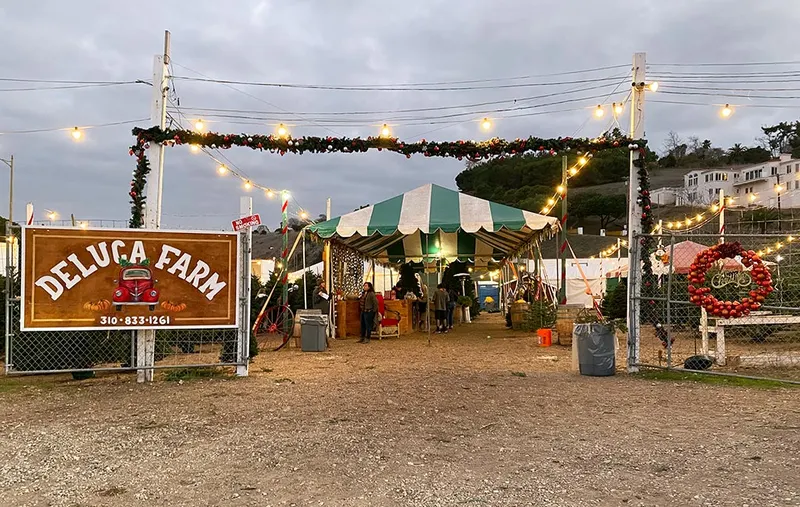 Deluca Farm photo