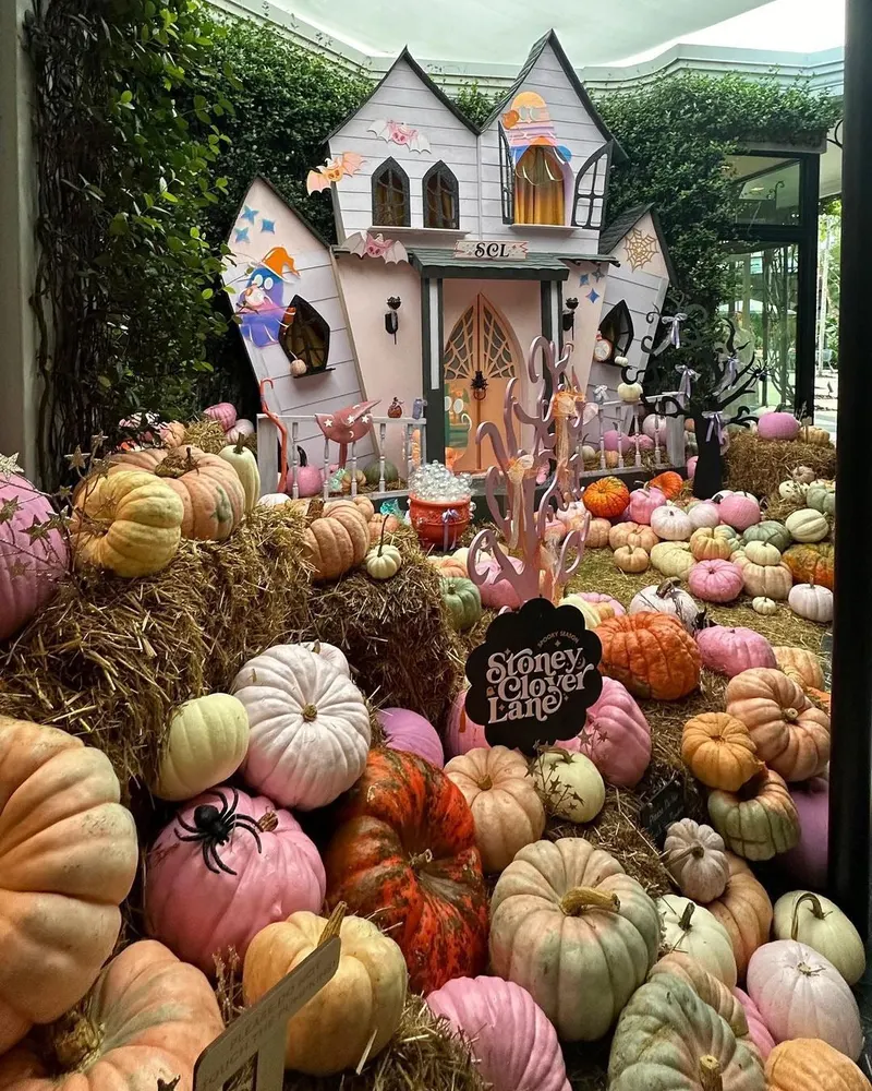 Enchanted Pumpkin Patch aka Mr Jack O Lanterns Pumkin Patch photo