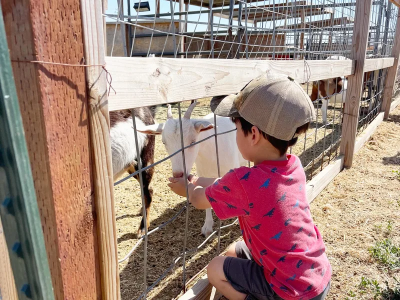 Escalera Farms photo
