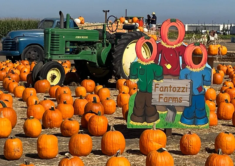 Fantozzi Farms Corn Maze & Pumpkin Patch