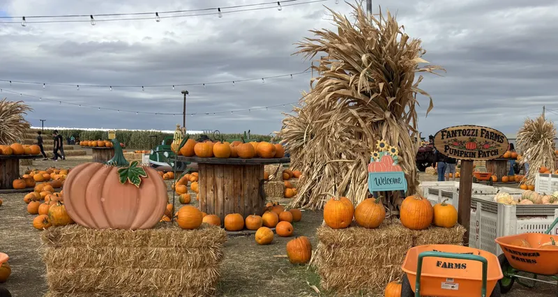 Fantozzi Farms Corn Maze & Pumpkin Patch photo
