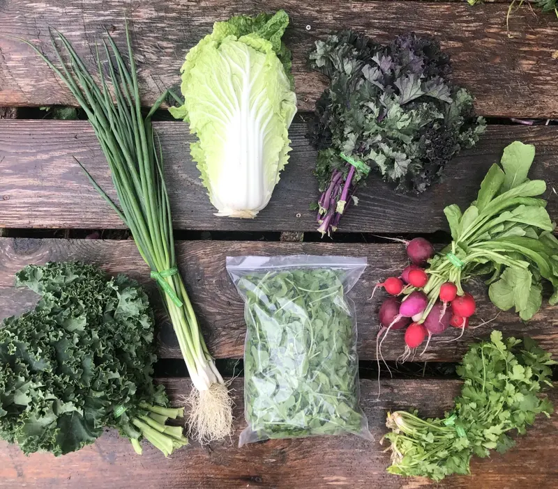 Green Spiral Farm photo