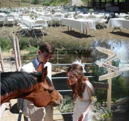 Greenspot Farms photo