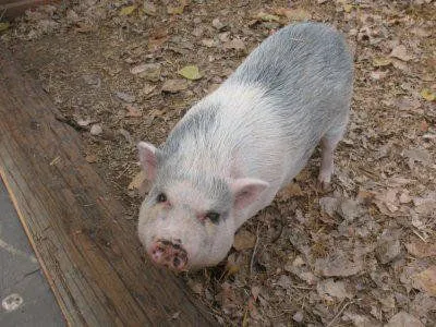 Greenspot Farms photo