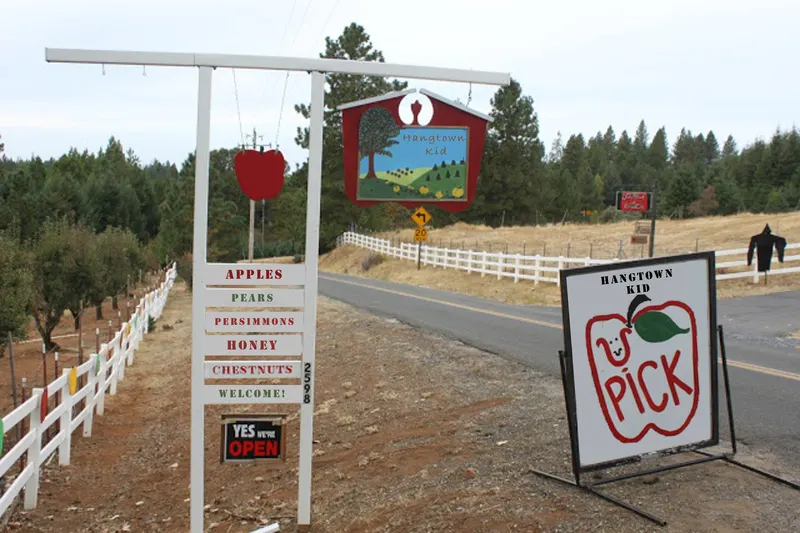 Hangtown Kid Apple Orchard