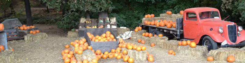 Hillcrest Tree Farm
