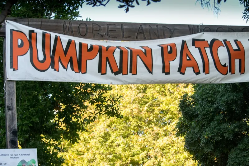 MEF's Pumpkin Patch and Spooky Haunted Trail photo