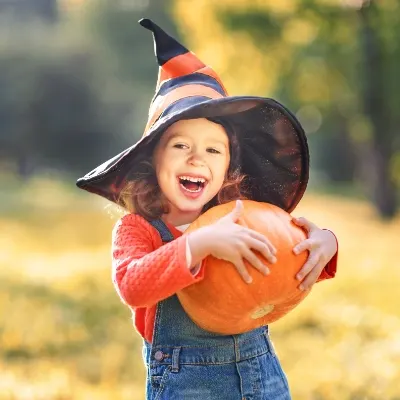 Mike's Pumpkin Patch & Corn Maze photo