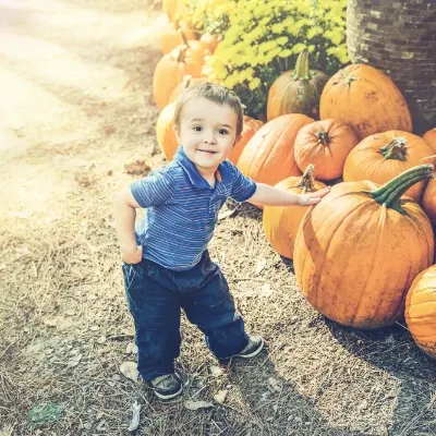 Mike's Pumpkin Patch & Corn Maze photo