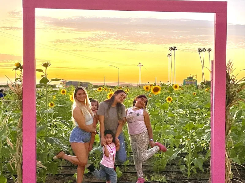 Murray Family Farms photo