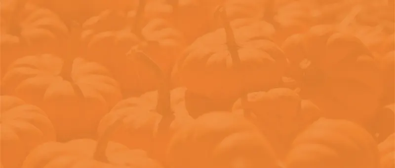 Nash Ranch Pumpkin Patch photo