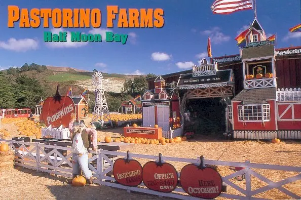 Pastorino Farms
