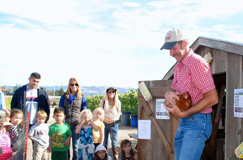 Petaluma Pumpkin Patch and A'Mazing Corn Maze photo