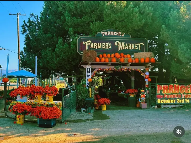 Prancer's Farm