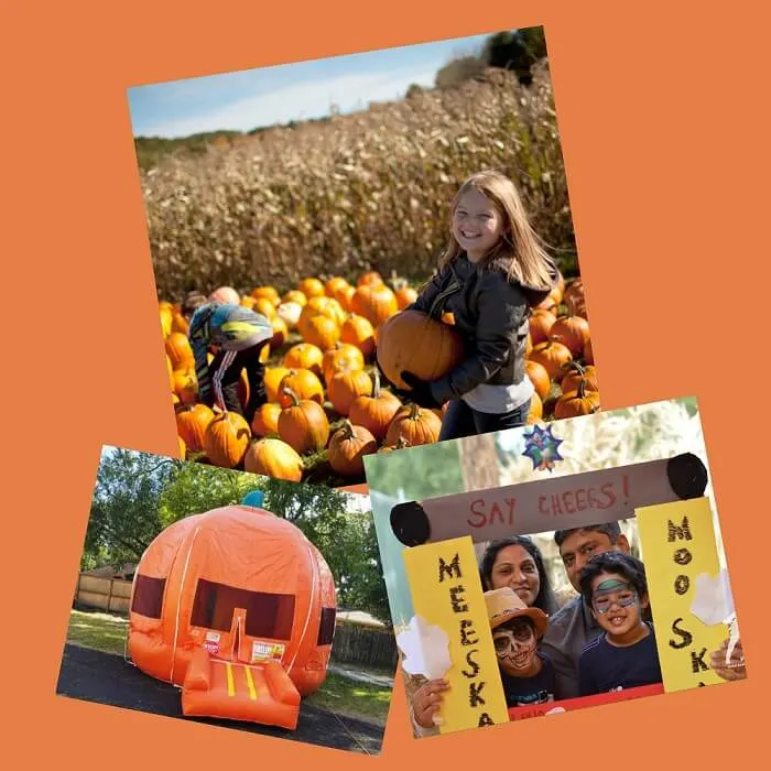 Pumpkin King Pumpkin Patch photo