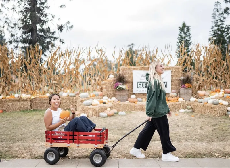 Pumpkin Station at Mission Valley photo