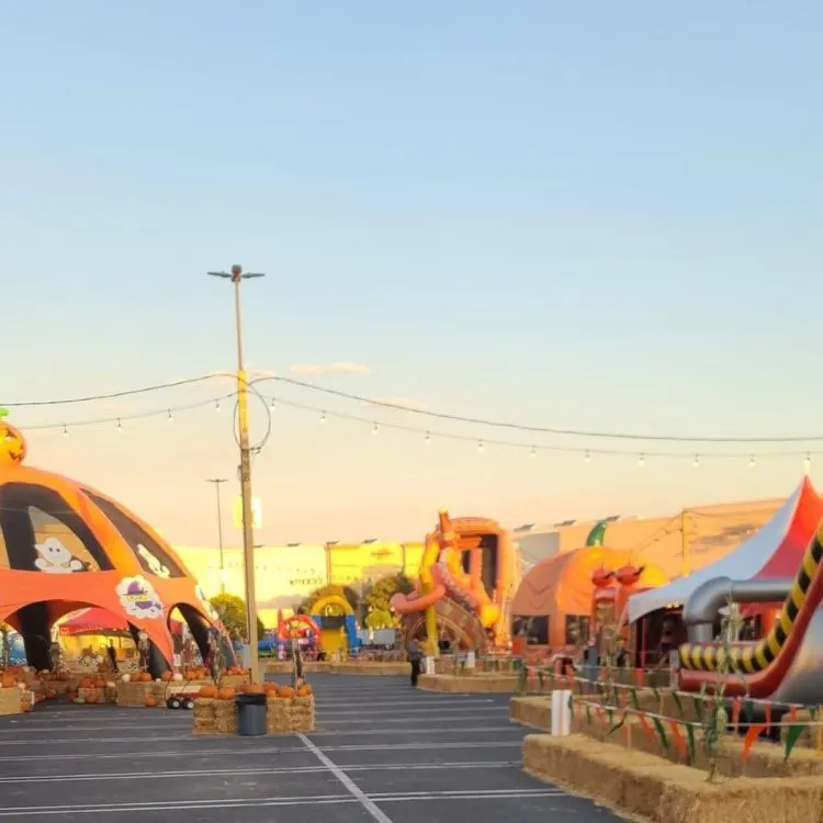 Pumpkinland Pumpkin Patch photo