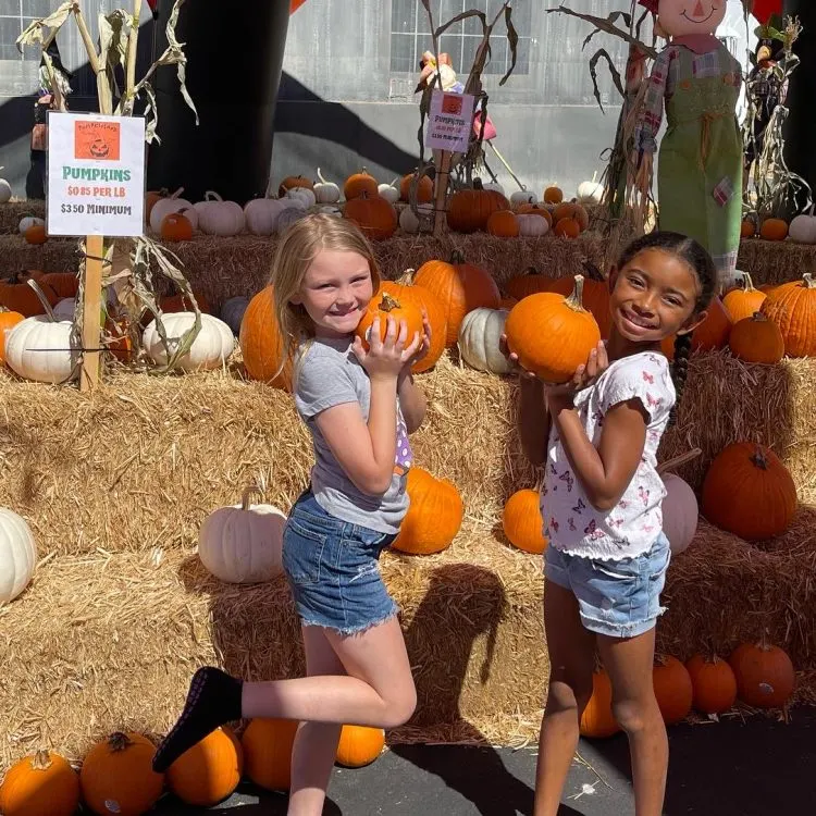 Pumpkinland Pumpkin Patch photo