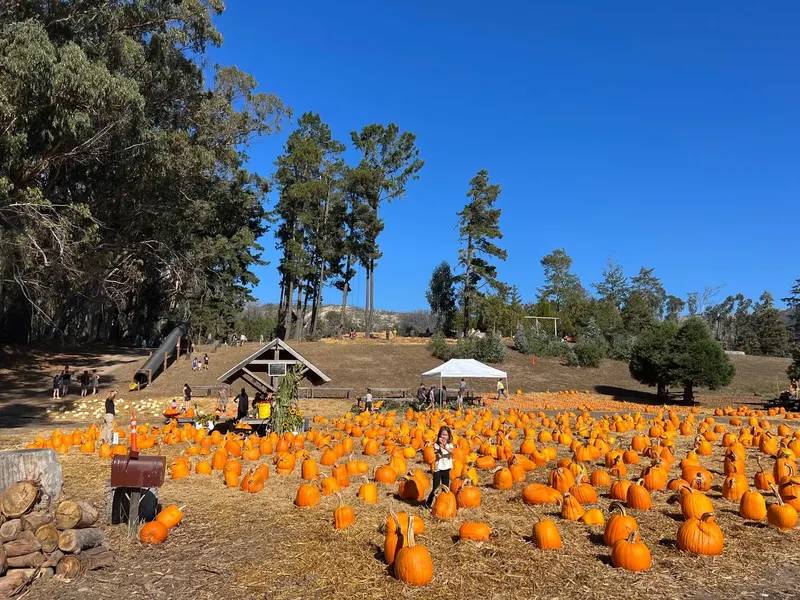 Rancho Siempre Verde photo