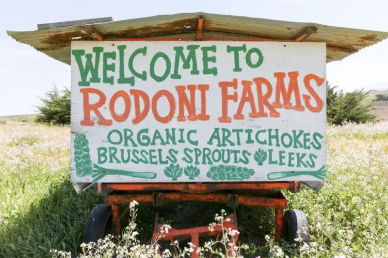 Rodoni Farms photo