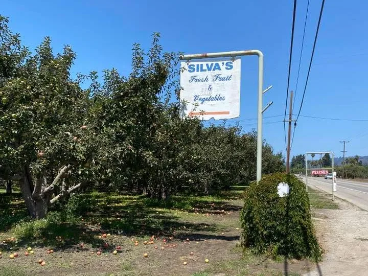 Silva's Apple Barn