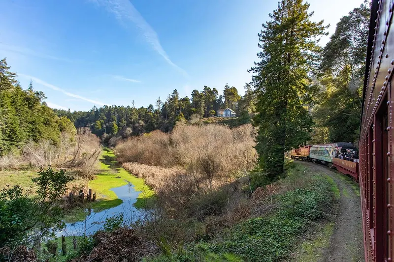 Skunk Train Willits Pumpkin Express