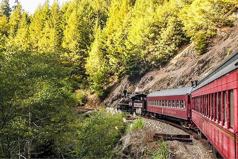 Skunk Train Willits Pumpkin Express photo