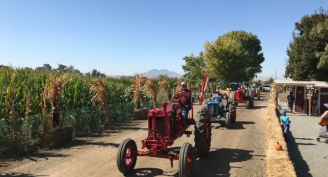 Smith Family Farm