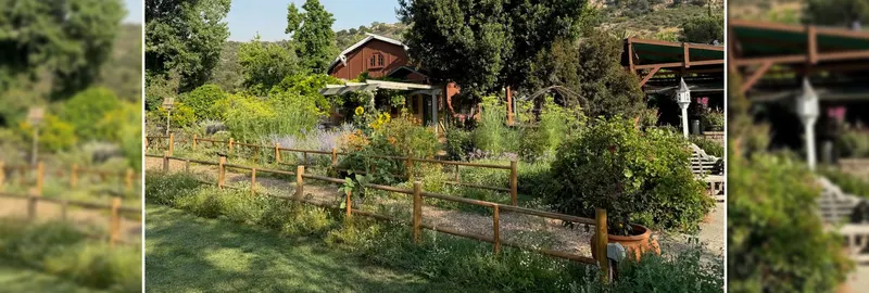 Summer's Past Farm
