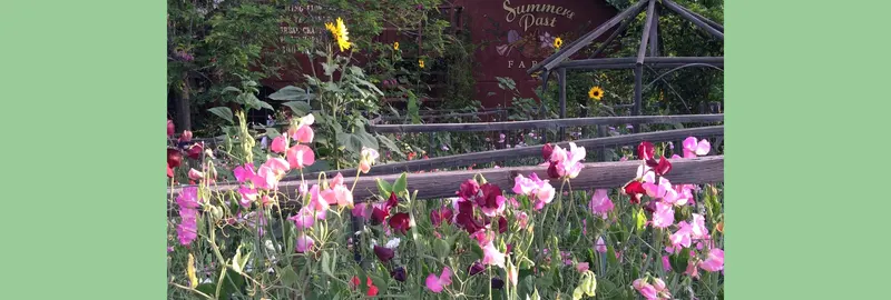 Summer's Past Farm photo