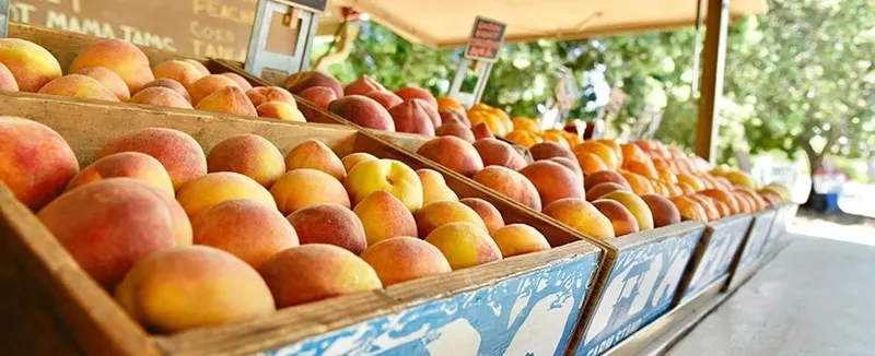 The Farmstand