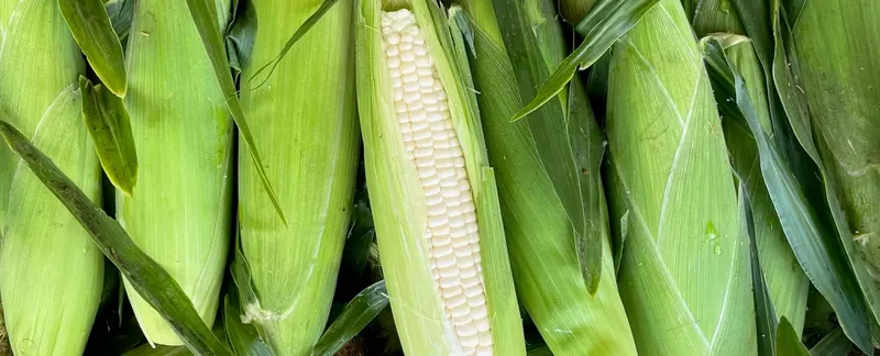 The Farmstand photo