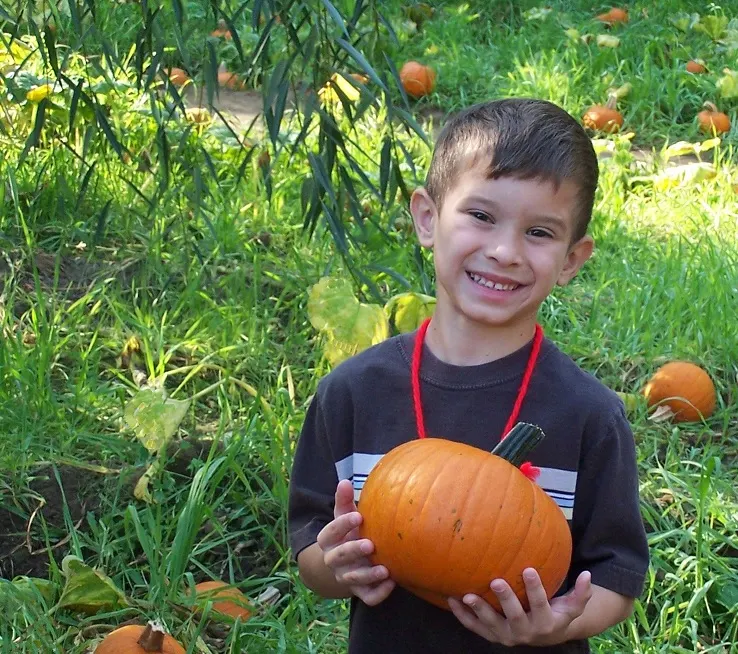 The Pumpkin Grove Hobb's Pumpkin Grove Billy Bob's photo