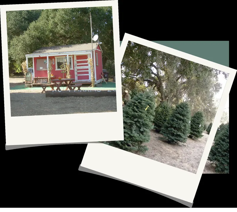 The Wickerd Farm photo