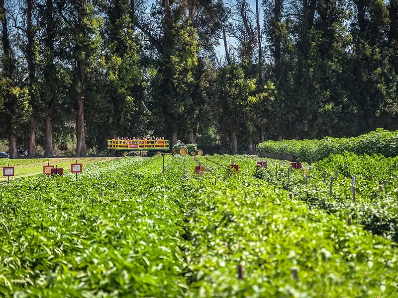 Underwood Family Farms photo