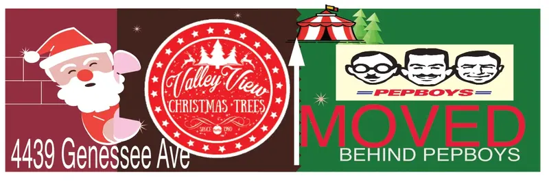 Valley View Christmas Trees photo