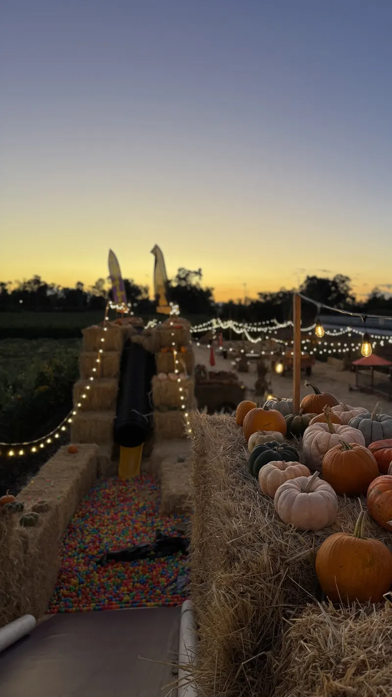 West Coast Farming Pumpkin Patch