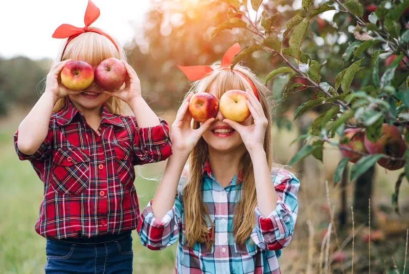 All Seasons Orchard photo