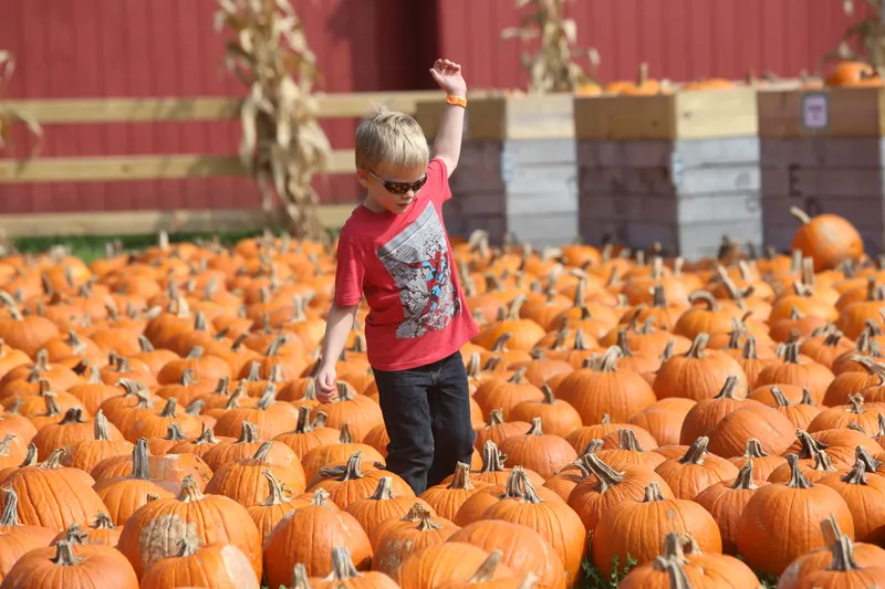 All Seasons Orchard photo