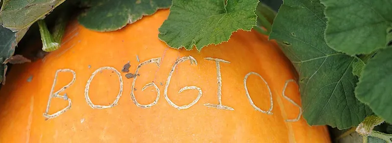 Boggios Orchard and Produce