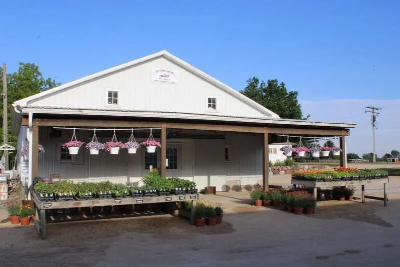 Cody's Farm