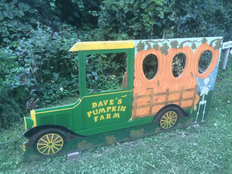 Dave's Pumpkins photo