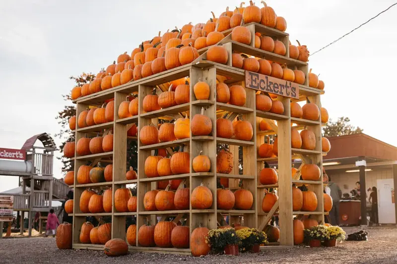 Eckert's Millstadt Farm photo