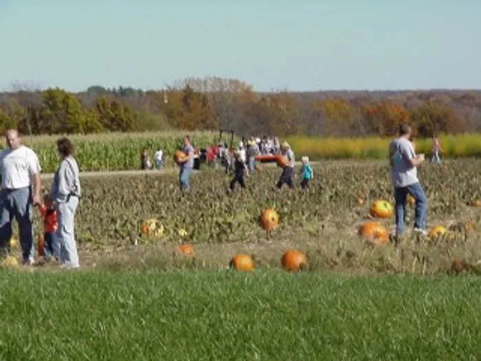 Mill Creek Farm