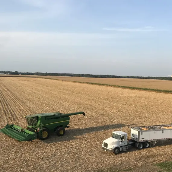 Narrow Way Family Farm photo